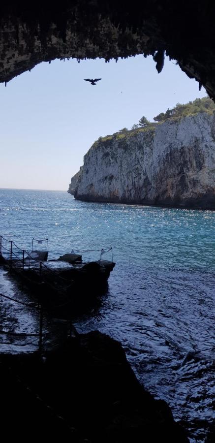 Affittasi Casa Vacanza A casa di Emma Leverano Esterno foto