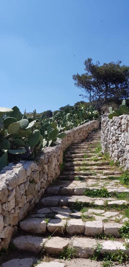 Affittasi Casa Vacanza A casa di Emma Leverano Esterno foto