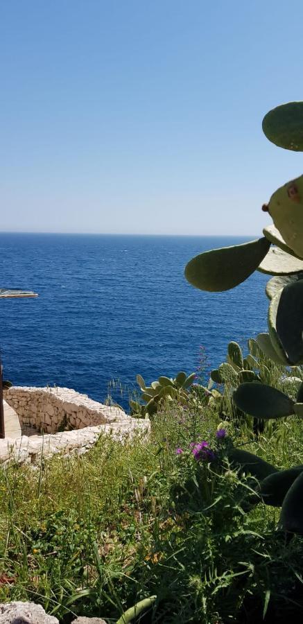 Affittasi Casa Vacanza A casa di Emma Leverano Esterno foto