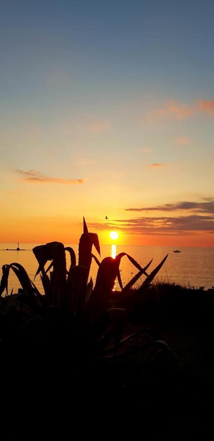 Affittasi Casa Vacanza A casa di Emma Leverano Esterno foto